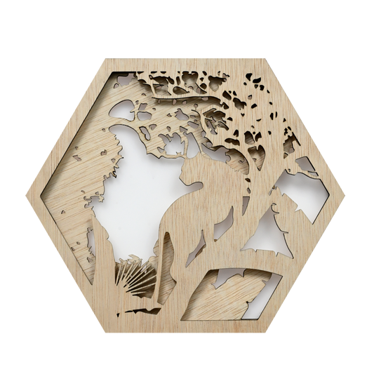 The Big Cat in Safari