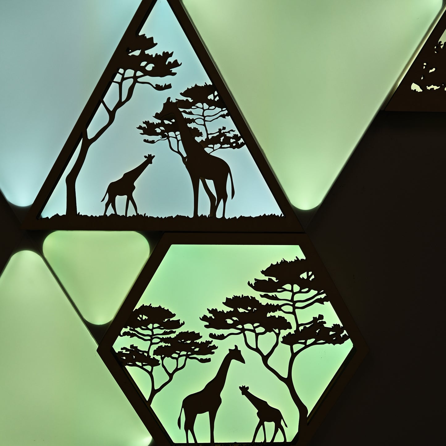 The Giraffes in Safari