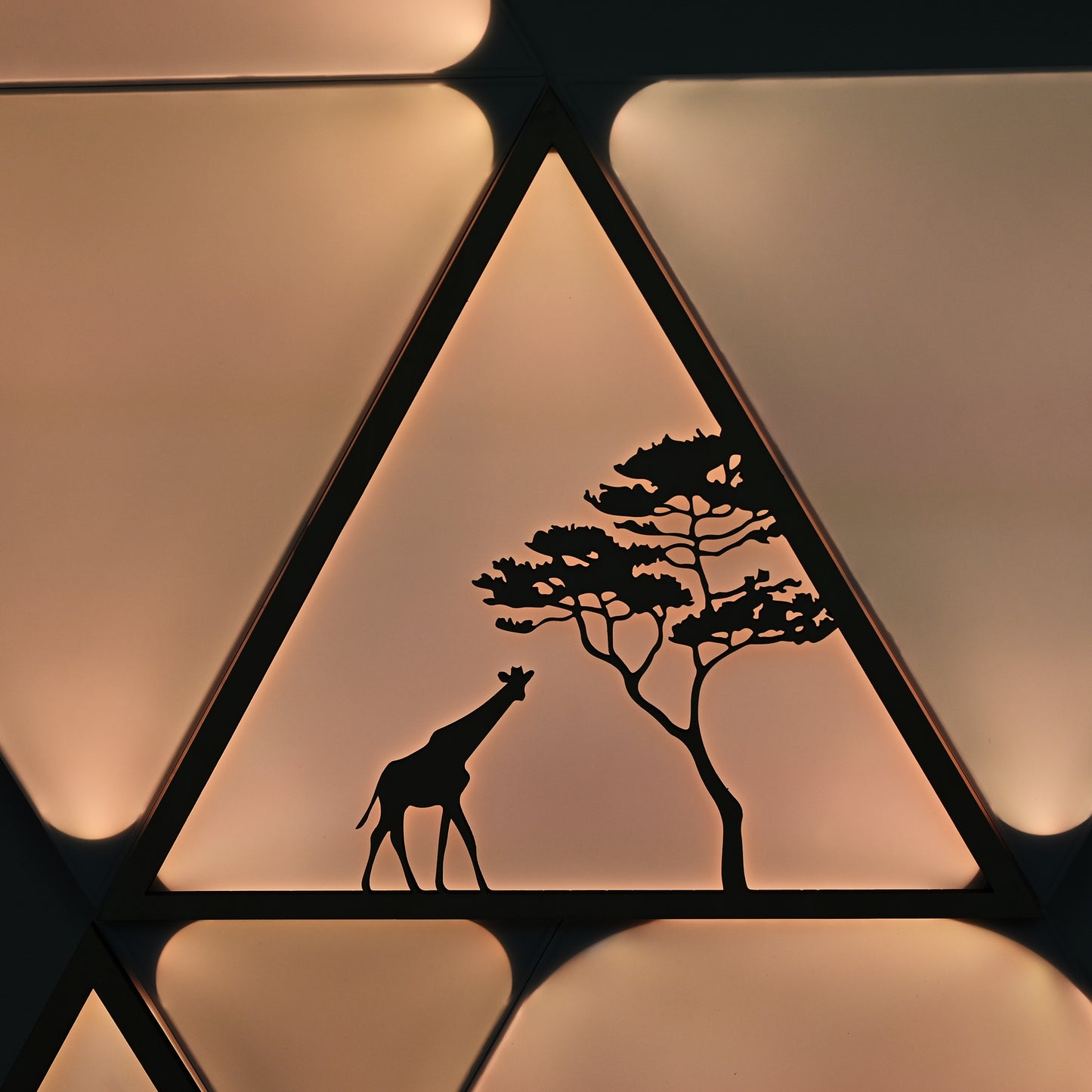 The Giraffes in Safari