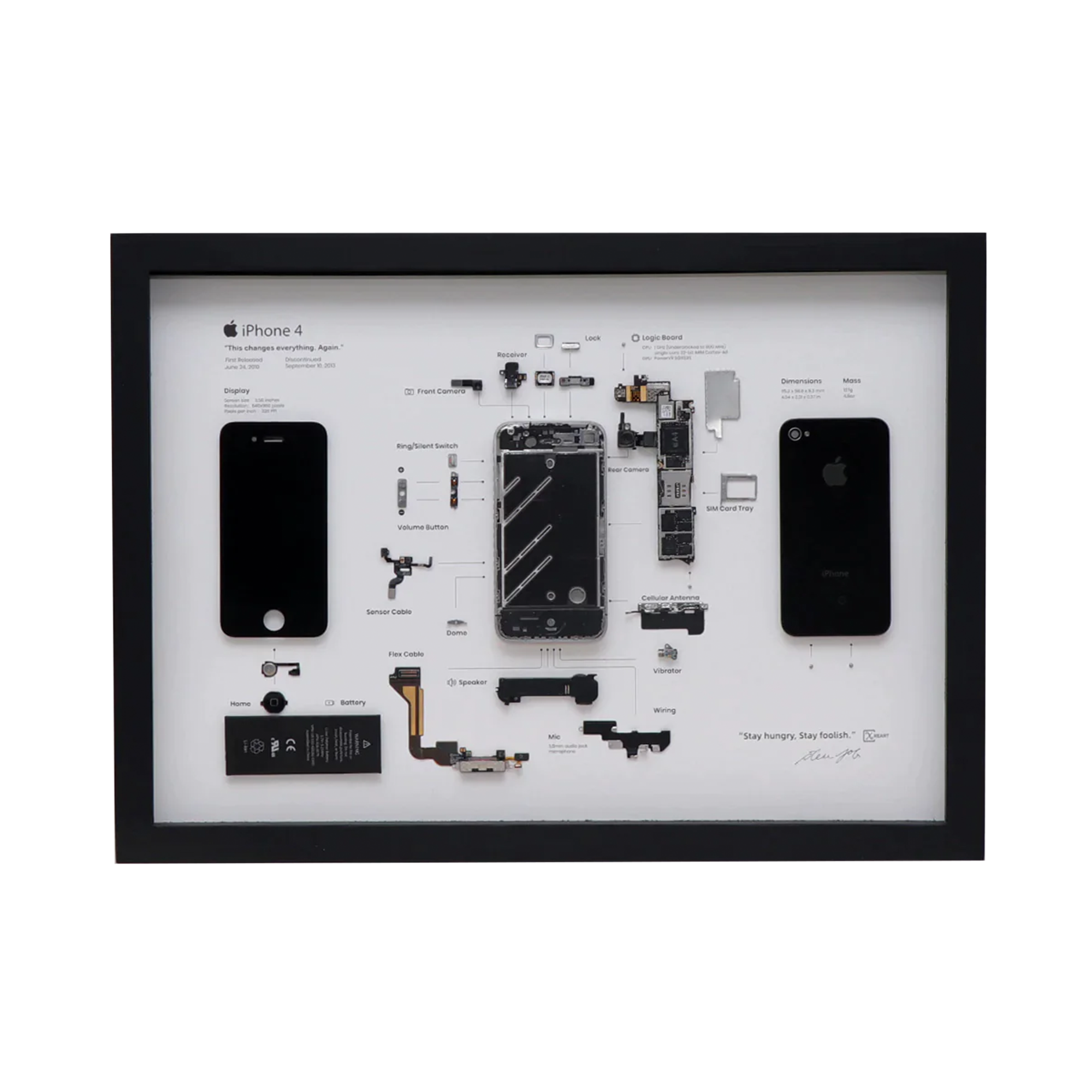 iPhone4 標本アート ホワイト 【公式通販】 iPhone 4s Black iPhone4 標本アート ホワイト 【公式通販】 iPhone 4s Black